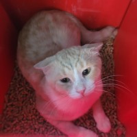 Photo of Hulio ☀️