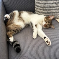 Photo of Holly