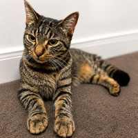 Photo of Chili