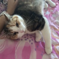 Photo of Zena ⚔️ 