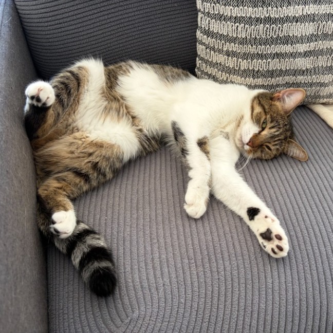 Photo of Holly