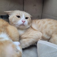 Photo of Hulio ☀️