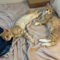 Photo of Fred & George