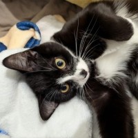 Photo of Slinky