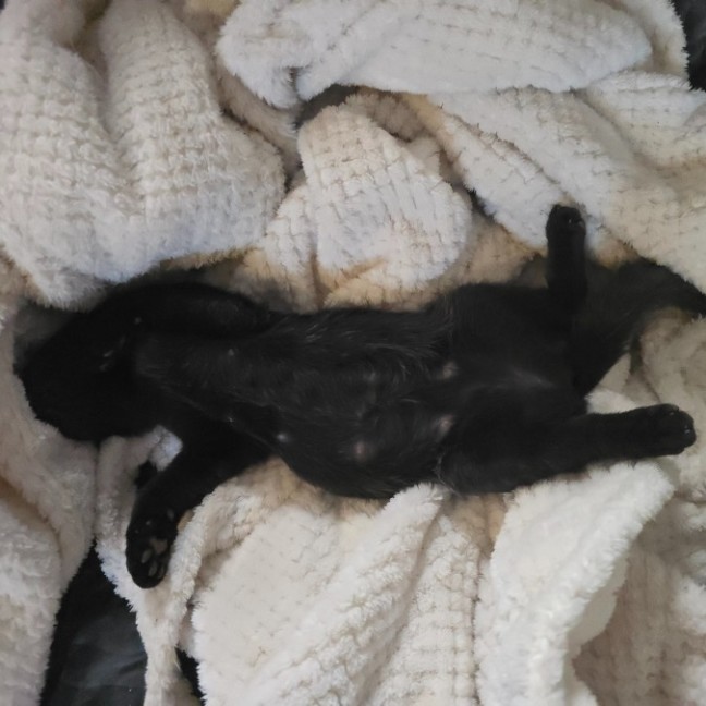 Photo of Emine Aka "Babybat"