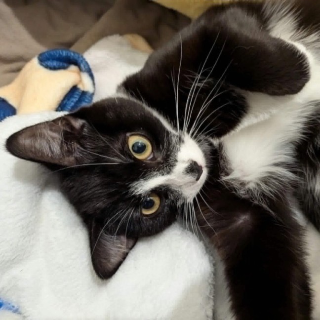 Photo of Slinky