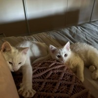 Photo of Rumi & Finn