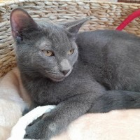 Photo of Blu