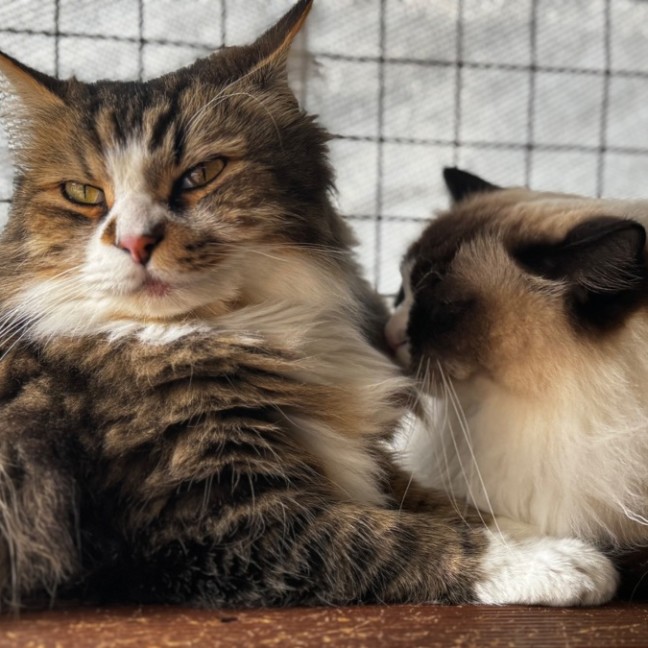 Photo of Molly And Maddox 