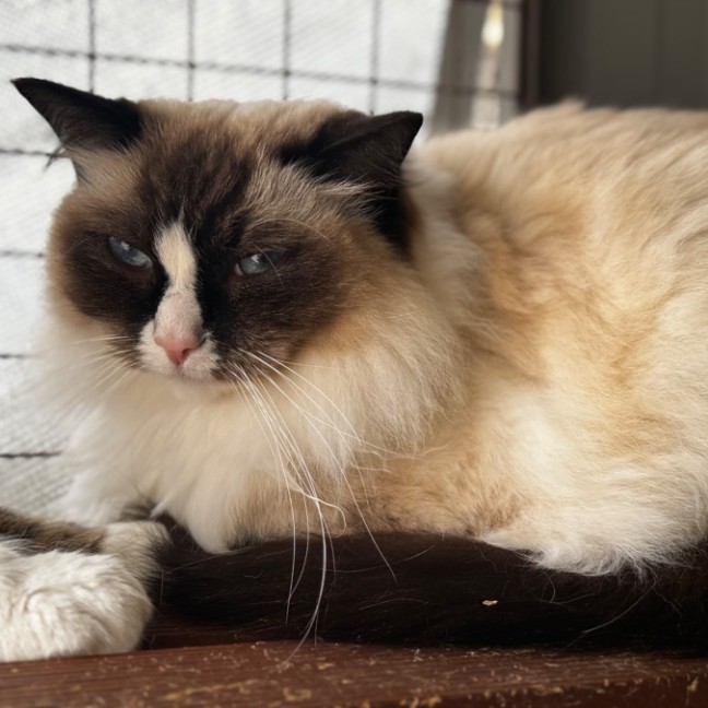 Photo of Molly And Maddox 