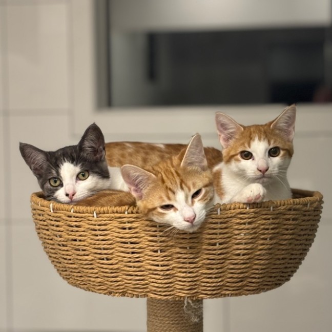 Photo of 🧡Reito🧡