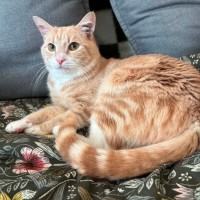 Photo of Fred🧡