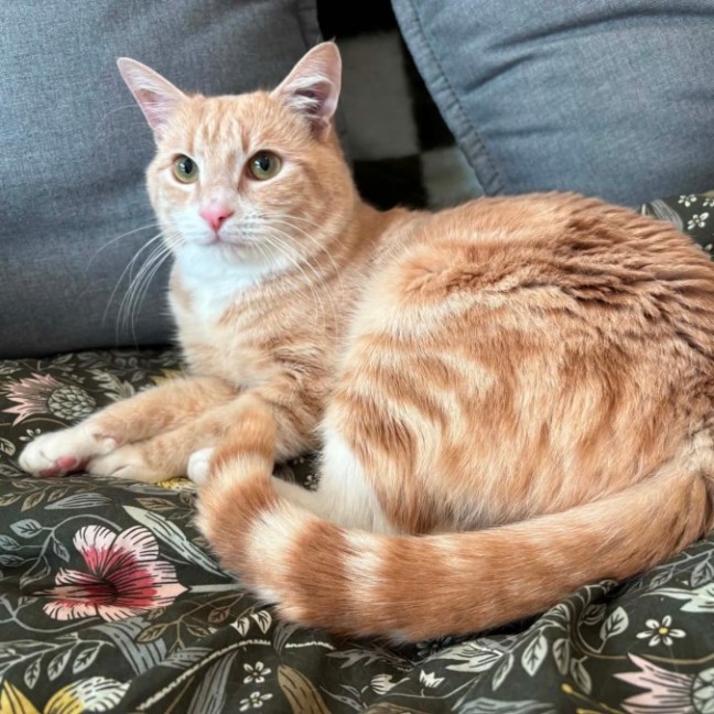 Photo of Fred🧡
