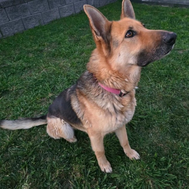 Photo of Lucy