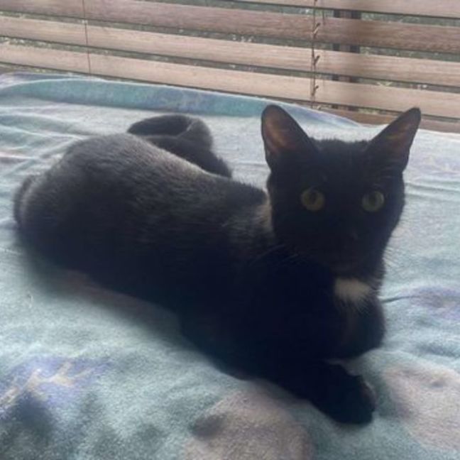 Photo of Princess
