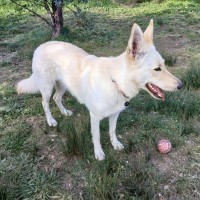 Photo of Princess