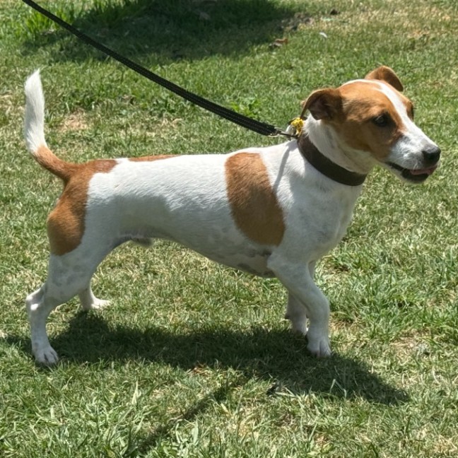 Photo of Sonny Jrt
