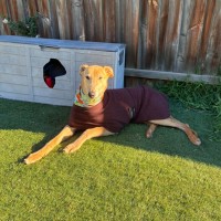 Photo of Roo