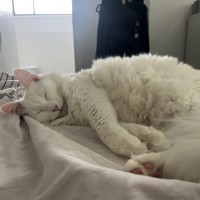 Photo of Dairy Queen