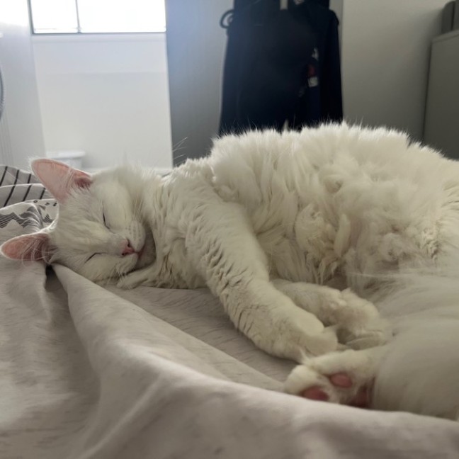 Photo of Dairy Queen