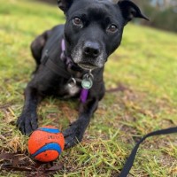 Photo of Beatrice Lozano