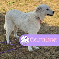 Photo of Caroline