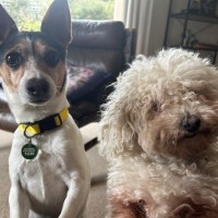 Photo of Oscar And Tilly Tamblyn