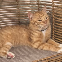 Photo of Clawd
