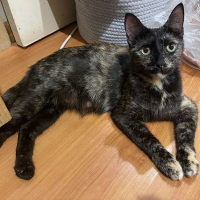 Photo of Minnie