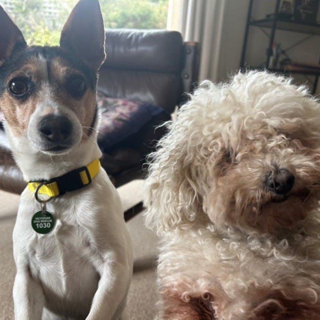 Photo of Oscar And Tilly Tamblyn