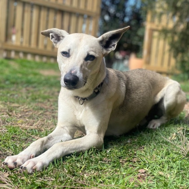 Photo of Stanley