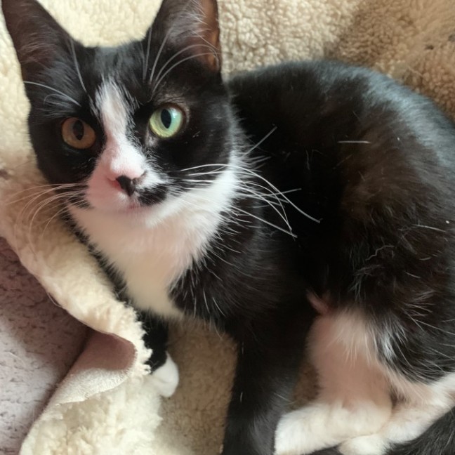 Photo of Buttons