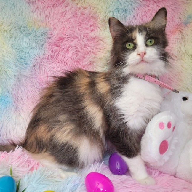 Photo of Stacey 🦄