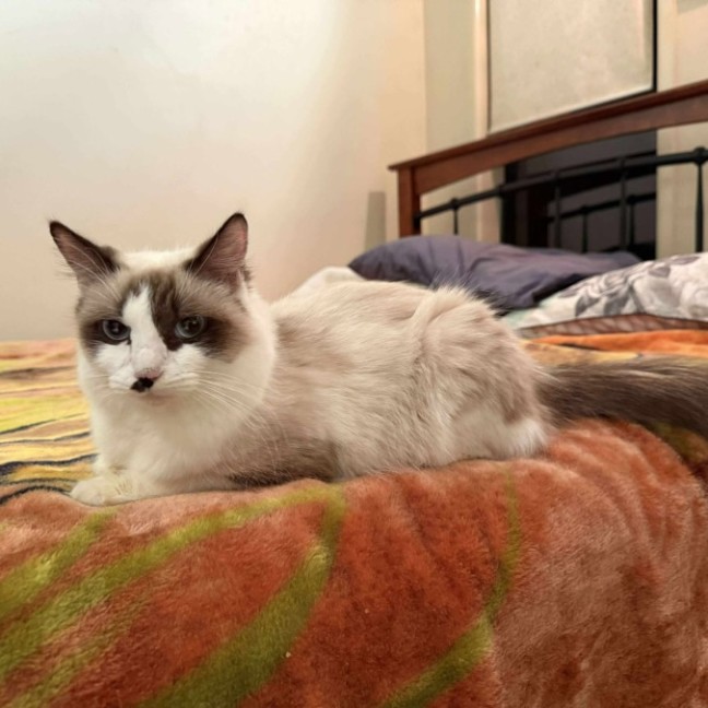 Photo of Priya