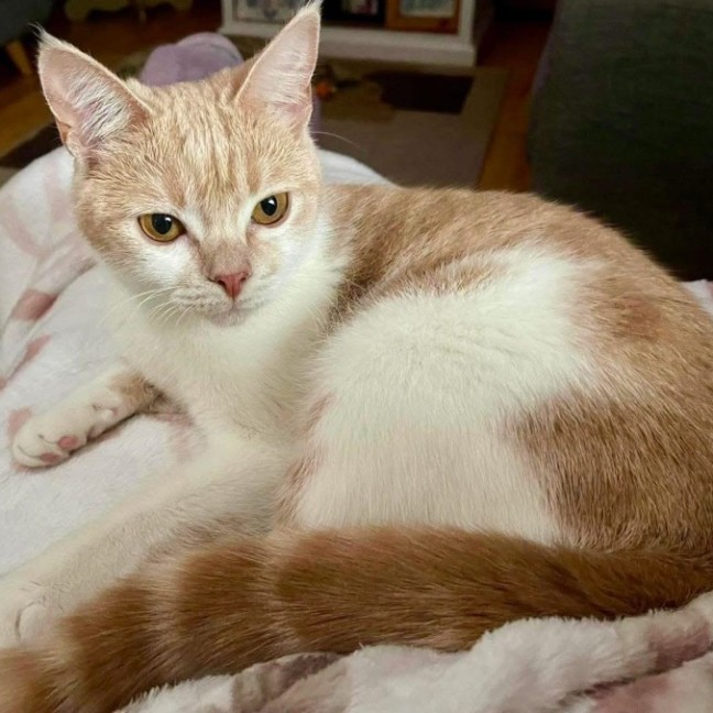 Photo of Merida