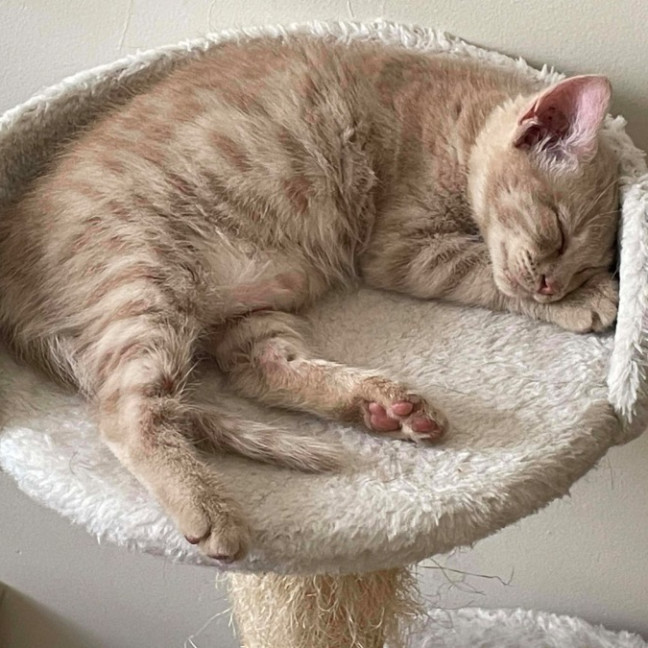 Photo of Fergus