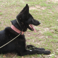 Photo of Lilith Aka Lily