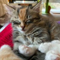 Photo of Marjolein