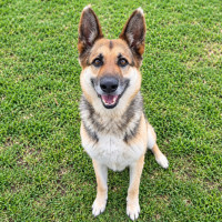 Photo of Maya