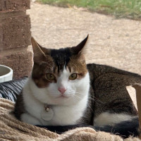Photo of Freddie
