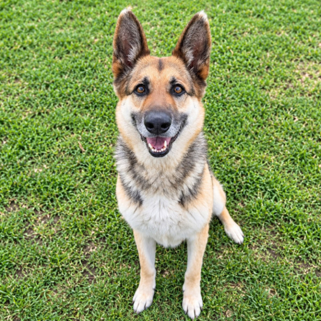 Photo of Maya