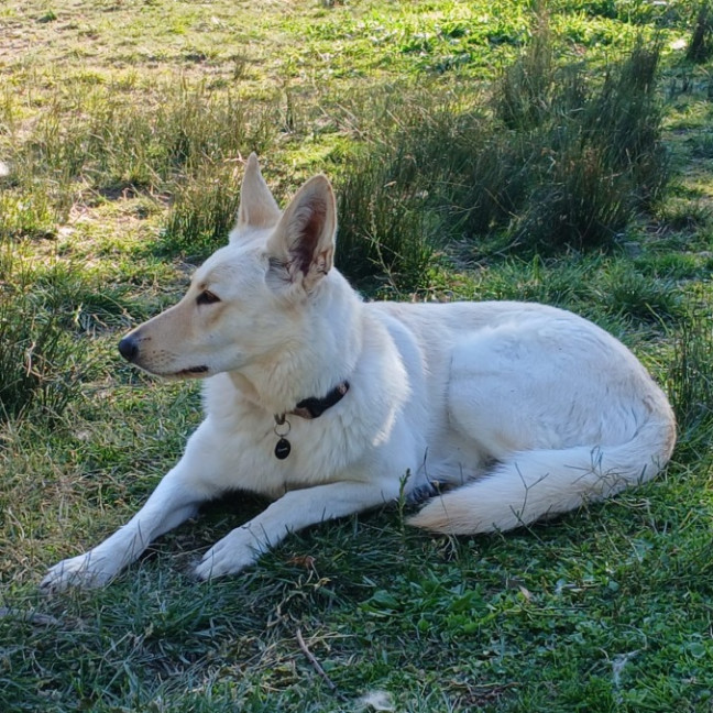 Photo of Princess