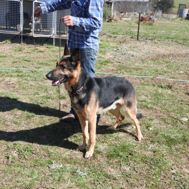 Photo of Maxamillion (Max)