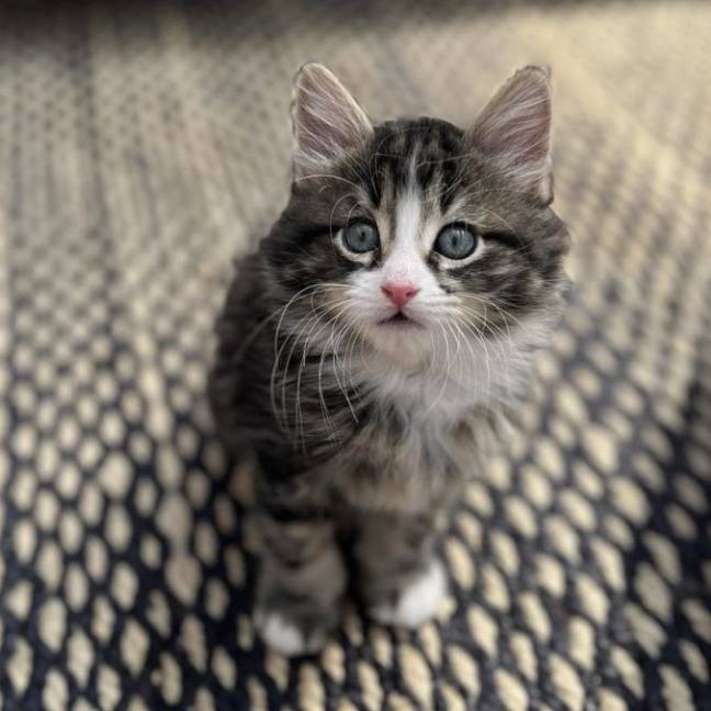 Photo of 💜 Rory 💜