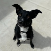 Photo of 🏏 Cricket 6607 🏏