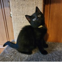 Photo of Tia