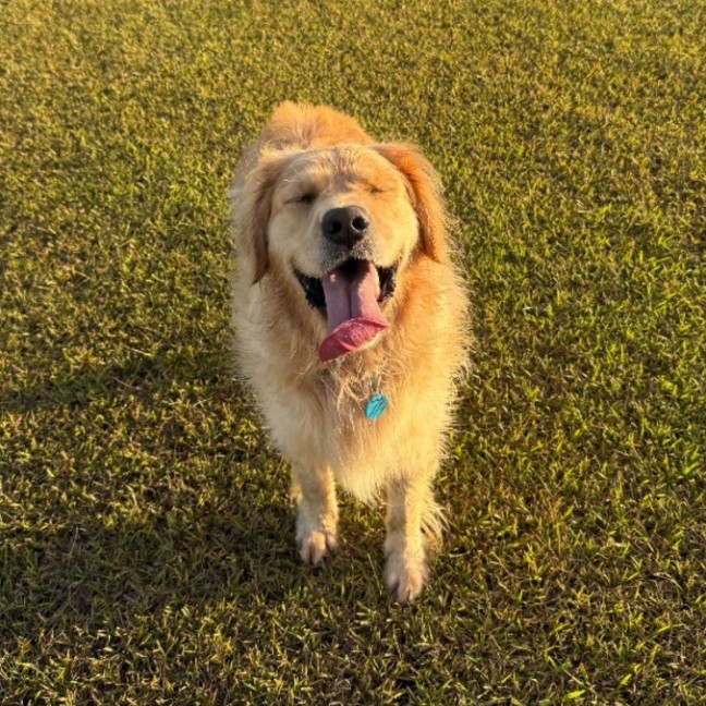 Photo of Maverick