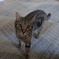 Photo of Linus 