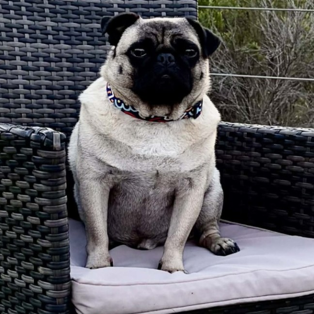 Photo of Wally