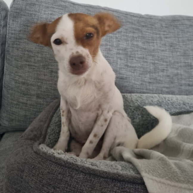 Photo of Minnie 